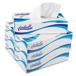 WINDSOFT WIN2430 2-Ply Premium Facial Tissue 6 x 100ct