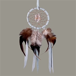 Dream Catcher