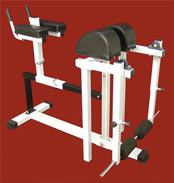 Reverse Hyperextension / Hip Extension Machine