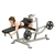 Pro Club Commercial Leverage Leg Curl LVLC