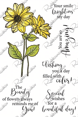 3342 Sunflower Beauty Set