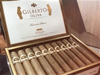 Gilberto Blanc Robusto (5 Pack)