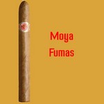 Moya Fumas (18/Bundle)