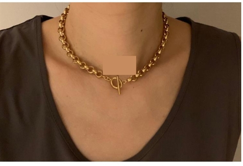 High Quality í•œí˜œì—°  ìŠˆìŠ¤ìŠ¤ ì¶”ì²œ Silver 925 Chocker (Gold Color) (will ship within 1~2 weeks)