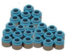 Viton Valve Seal Set - 5VZ