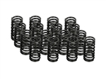 Street Performer Valve Spring Set of 16 2RZ/3RZ