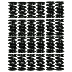 Pro Dual Valve Spring Set(24) - 5VZ(Use For Naturally Aspirated Or Low Boost Applications)