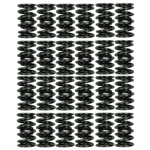 Pro HD Dual Valve Spring Set(24) - 5VZ(Use For High RPM/Boost Applications)