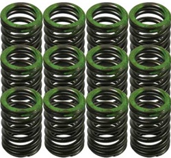 OE Valve Spring Set(12) - 3VZ