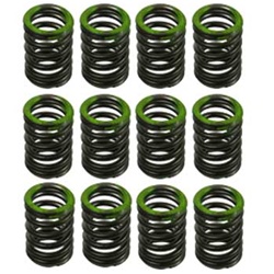 Street Performer Valve Spring Set(12) - 3VZ