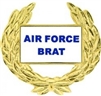 VIEW Air Force Brat Lapel Pin