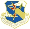 VIEW SAC Beret Badge