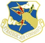 VIEW SAC Beret Badge