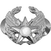 VIEW AF Commander Badge