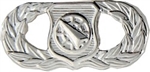 VIEW AF Weapons Director Badge