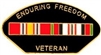 VIEW OEF Veteran Lapel Pin