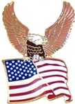 VIEW Eagle With Flag Lapel Pin