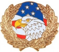 VIEW Eagle US Flag Wreath Lapel Pin