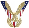 VIEW Victory Eagle Lapel Pin