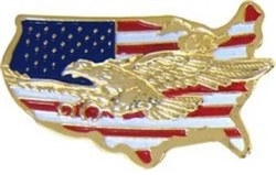 VIEW US Flag Map With Eagle Lapel Pin