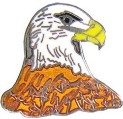 VIEW Eagle's Head Lapel Pin