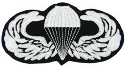 VIEW Basic Parachutist Wings Patch