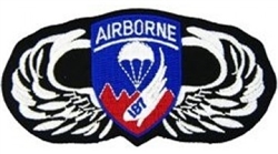 VIEW 187th Airborne Infantry Regiment Patch