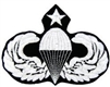 VIEW Senior Parachutist Wings Patch