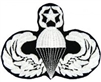 VIEW Master Parachutist Wings Patch