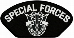 VIEW Special Forces Patch