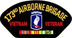 VIEW 173rd Airborne Brigade Vietnam Veteran Patch