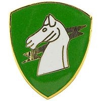 VIEW 1st Special Operations Command Lapel Pin