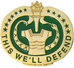 VIEW US Army Drill Instructor Lapel Pin