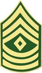 VIEW US Army E8 First Sergeant  Pin