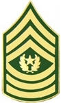 VIEW US Army E9 Command Sergeant Major Rank Pin