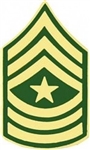 VIEW US Army E9 Sergeant Major Rank Pin