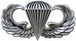 VIEW Basic Parachutist Badge