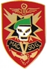 VIEW Vietnam MACV SOG Lapel Pin