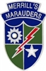 VIEW Merrill's Marauders Lapel Pin