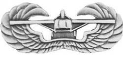VIEW WW II Glider Badge