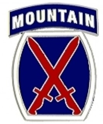 VIEW 10th Mountain Division Lapel Pin