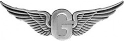 VIEW US Army Door Gunner Wings