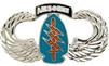VIEW Special Forces Wings Lapel Pin