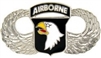 VIEW 101st AB Wings Lapel Pin