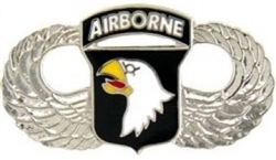 VIEW 101st AB Wings Lapel Pin