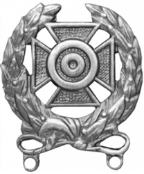 VIEW US Army Expert Qualification Badge