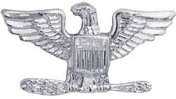 VIEW Colonel 0-6 Lapel Pin