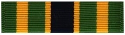 VIEW Army NCO Professional Development Ribbon