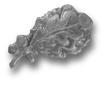 VIEW Silver Oak Leaf Decoration Device