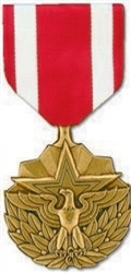VIEW Meritorious Service Medal